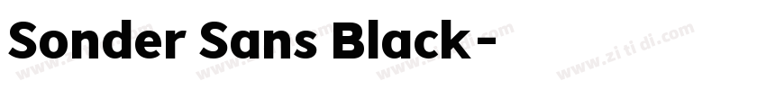 Sonder Sans Black字体转换